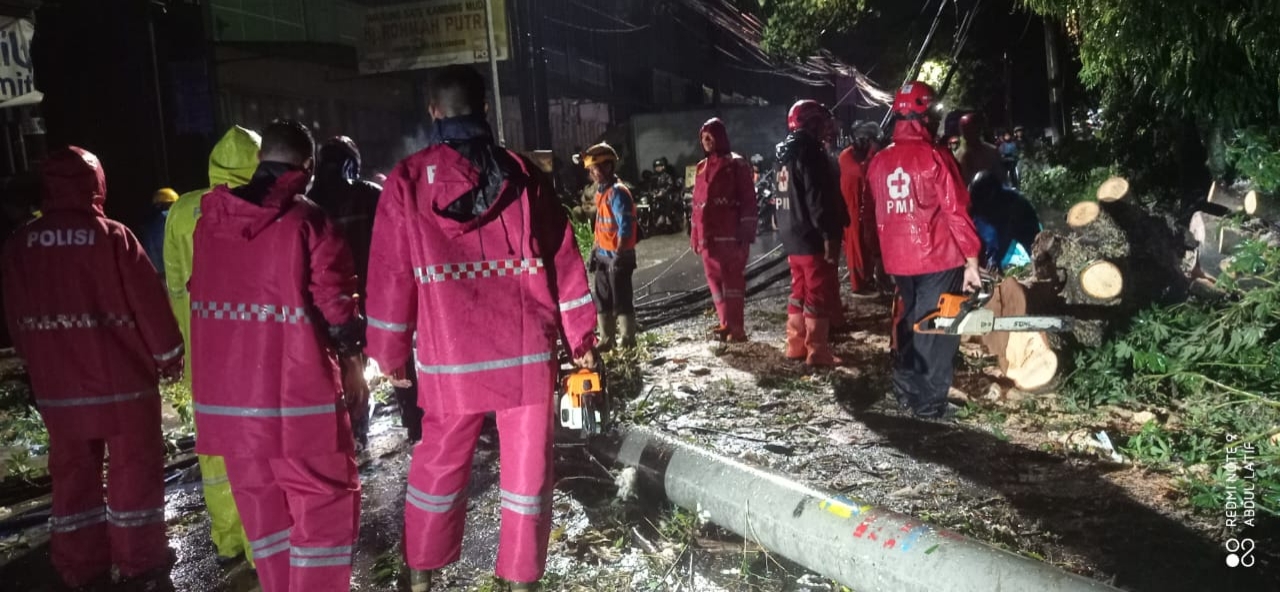 Ansor dan Banser Kecamatan Lebaksiu Turun Tangan Evakuasi Pohon Tumbang di Jalan Yomani–Guci
